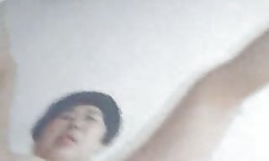 罗汉猫滑的照片人的照片免费由亚历克